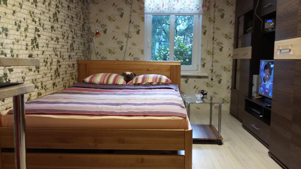 Small And Cozy Studio Apartment Riga Kültér fotó