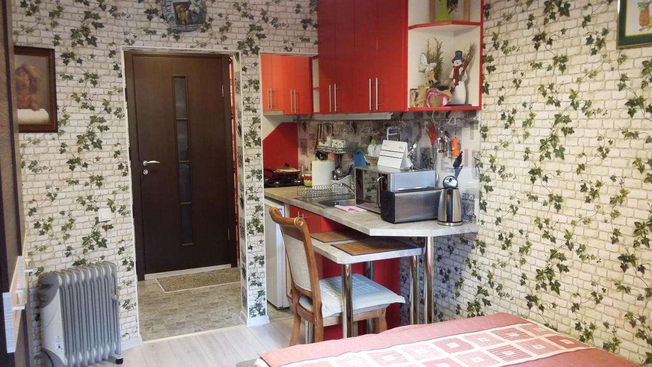 Small And Cozy Studio Apartment Riga Kültér fotó